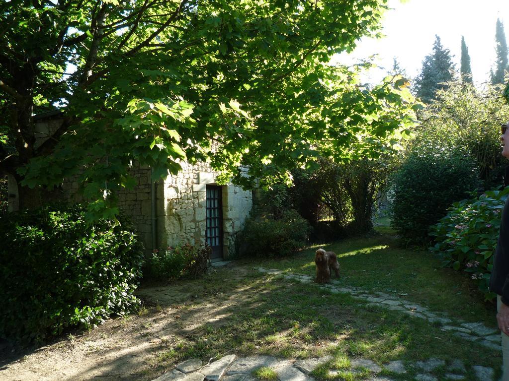 Le Logis Du Peu Girard Bed & Breakfast La Roche-Clermault Bagian luar foto