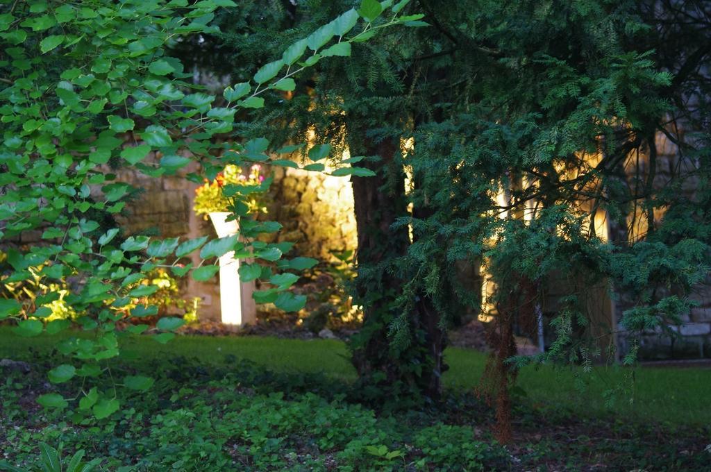 Le Logis Du Peu Girard Bed & Breakfast La Roche-Clermault Bagian luar foto