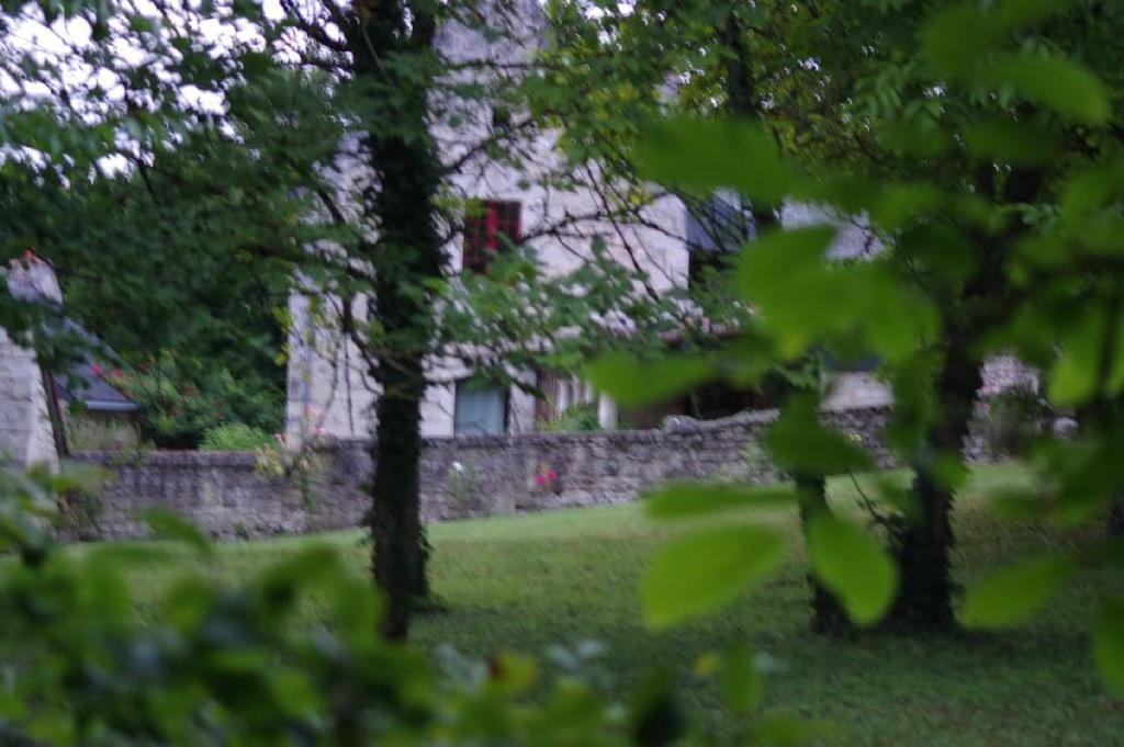 Le Logis Du Peu Girard Bed & Breakfast La Roche-Clermault Bagian luar foto